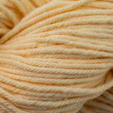 Cascade Nifty Cotton Yarn