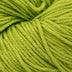 Cascade Nifty Cotton Yarn