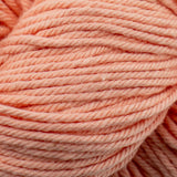 Cascade Nifty Cotton Yarn