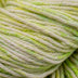 Cascade Nifty Cotton Splash Yarn