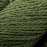 Cascade ECO+ Wool Yarn