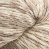 Cascade Eco Duo Yarn