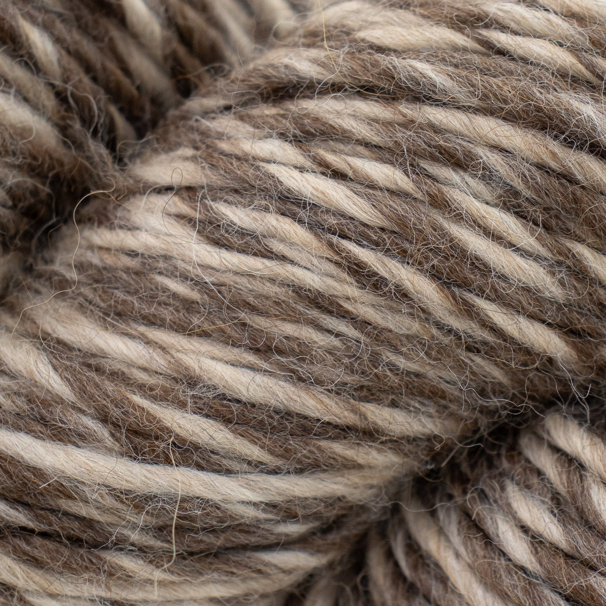 Cascade Eco Duo Yarn