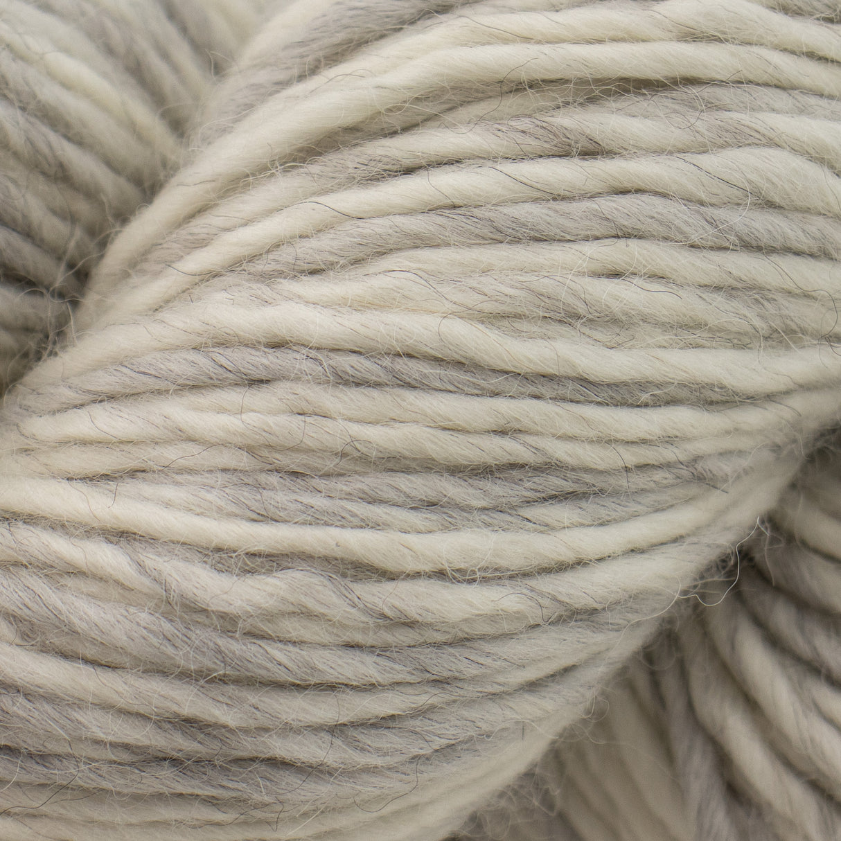 Cascade Eco Duo Yarn