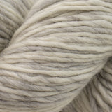 Cascade Eco Duo Yarn