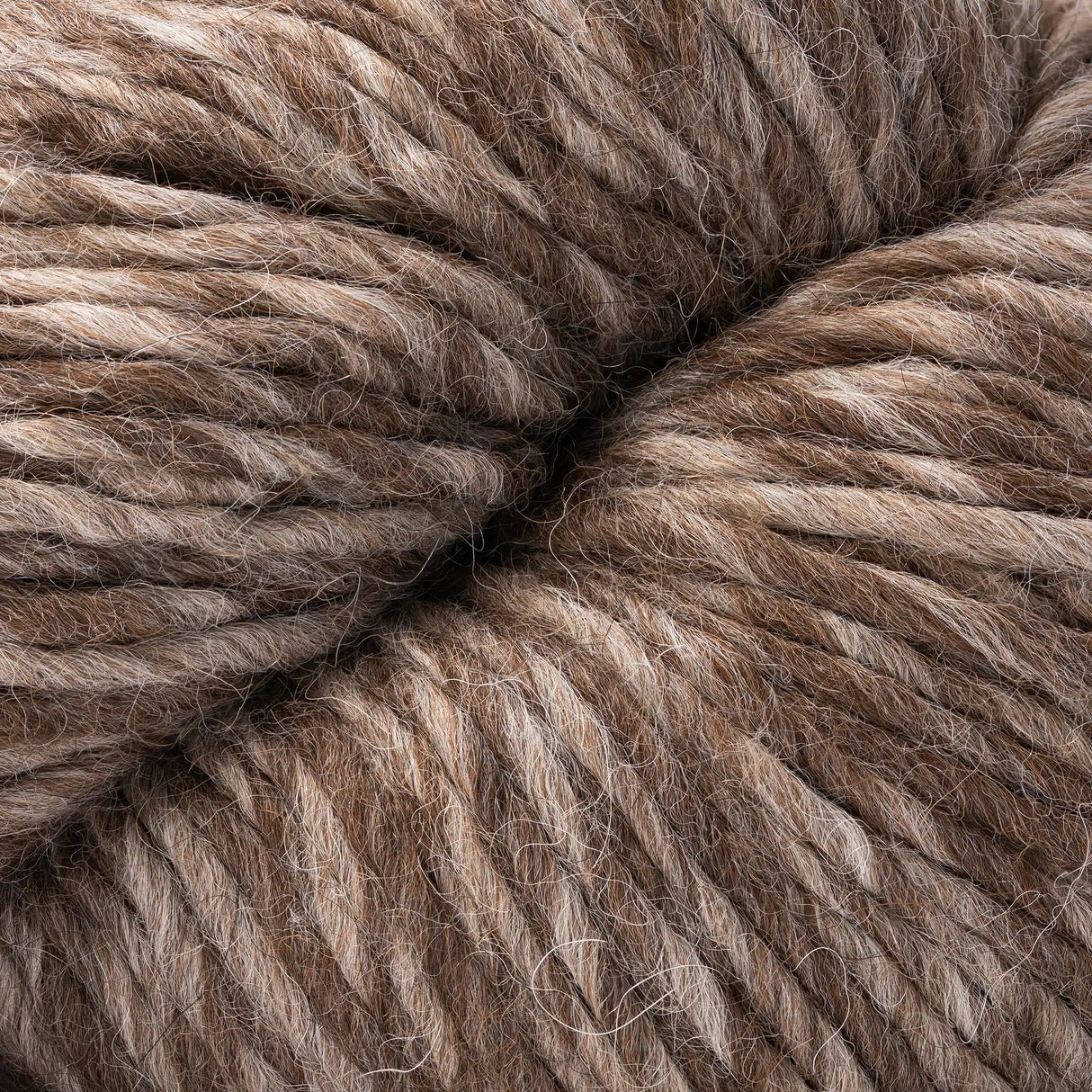 Cascade Eco Duo Yarn