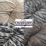 Cascade Eco Duo Yarn