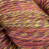 Cascade 220 Superwash Sport Wave Yarn