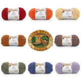 Lion Brand Cottino Yarn - Front Image