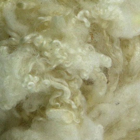Scoured Blue Faced Leicester Fleece