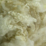 Scoured Blue Faced Leicester Fleece