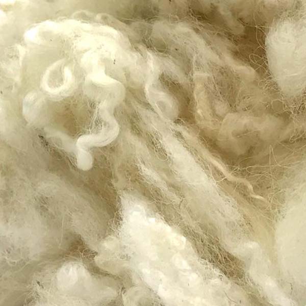 White Wool Locks - The Woolery