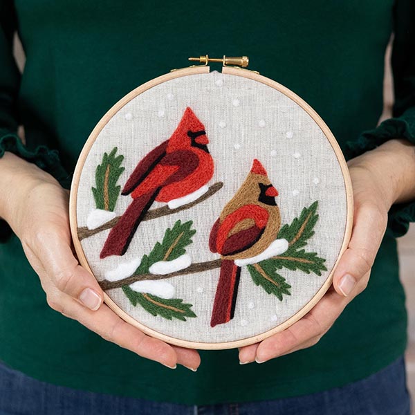 Coloring with Wool Needle Felting Kit - Winter Cardinals - 8715110056155