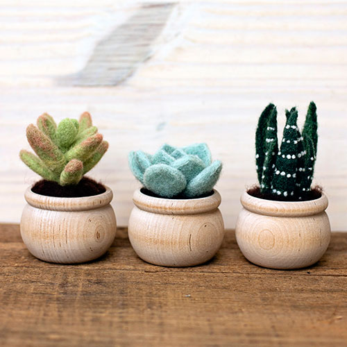 felted plants Succulents Needle Felting Kit