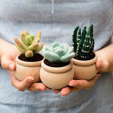 Sculpting with Wool Needle Felting Kit - Succulents