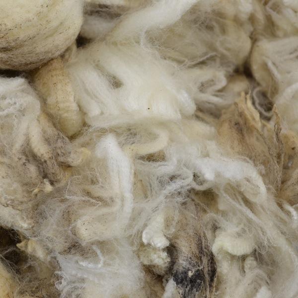 Fleece - Cormo - White 1lb