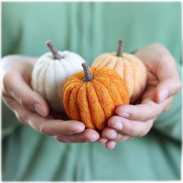 Needle Felting Pumpkins Kit - 855445008209