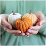 Needle Felting Pumpkins Kit - 855445008209