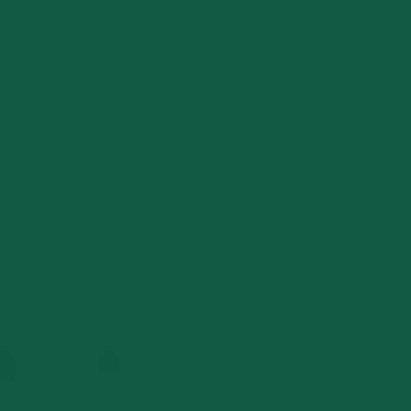 PRO WashFast Acid Dyes