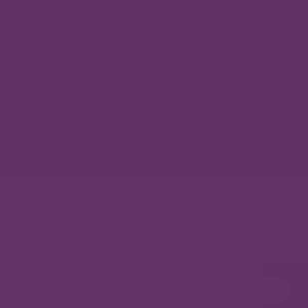 PRO WashFast Acid Dyes