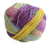 Ella Rae Color Magic Yarn - The Woolery