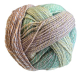 Ella Rae Color Magic Yarn - The Woolery
