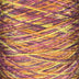 Bluegrass Mills Variegated Tencel 8/2 Yarn