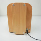 Louet Jenn-E Electric Spinning Wheel