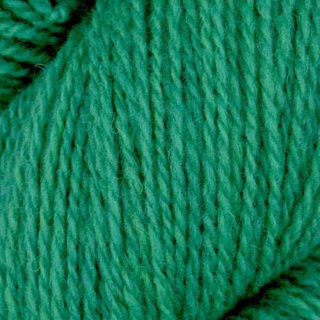Juniper Moon Farm Patagonia Organic Merino Wool Yarn - The Woolery