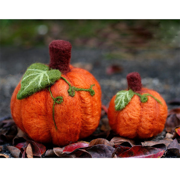 Kromski Needle Felting Kit - Pumpkin