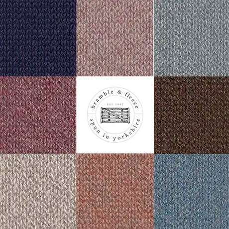 Bramble & Fleece Sheepsoft DK Yarn - The Woolery