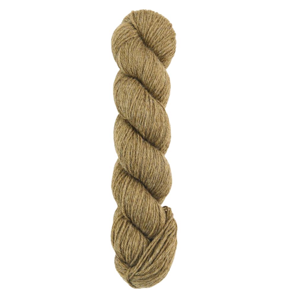 Bramble & Fleece Sheepsoft DK Yarn