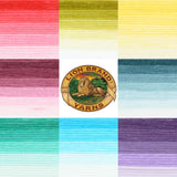 Lion Brand Mandala Gradient Yarn