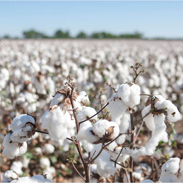White Cotton Sliver | The Woolery
