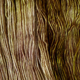 Gusto Olio Yarn