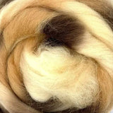 Rosie's Space Dyed Top