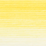 Lion Brand Mandala Gradient Yarn