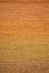 Spiral Grain Sport Yarn