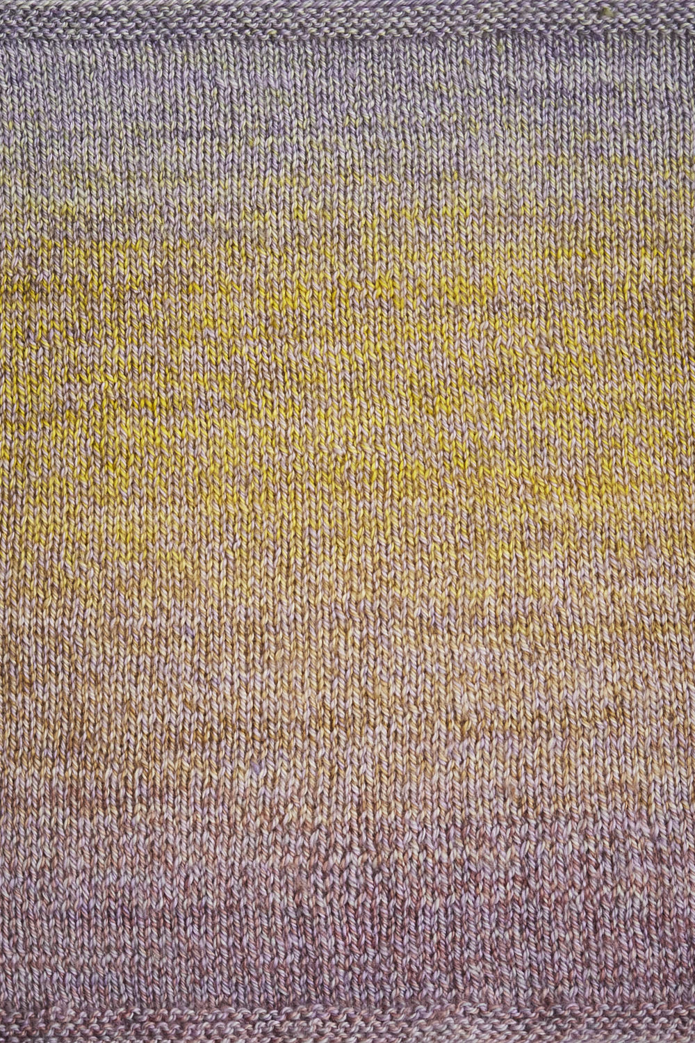 Spiral Grain Sport Yarn