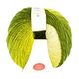 SIRDAR Jewelspun Ombre Yarn