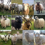 Breed Study Bundle - Included Breeds