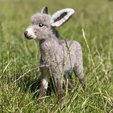 Diego the Donkey