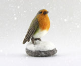 World of Wool Felting Kit - Robyn the Robin