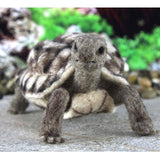 World of Wool Felting Kit - Toto the Turtle