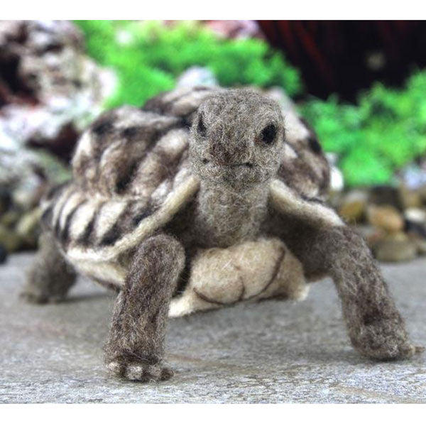 World of Wool Felting Kit - Toto the Tortoise | The Woolery