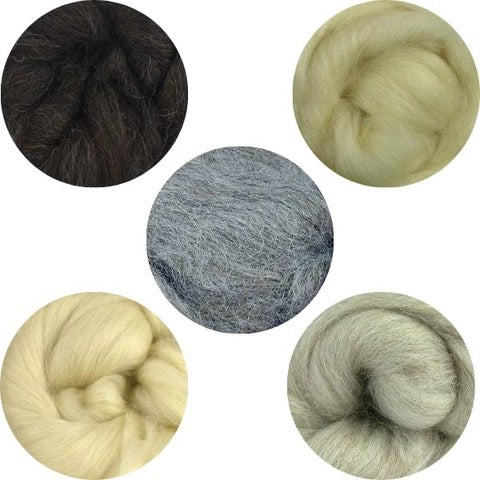 Hand Spinner Wool Bundle