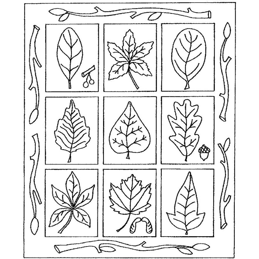 Arboretum