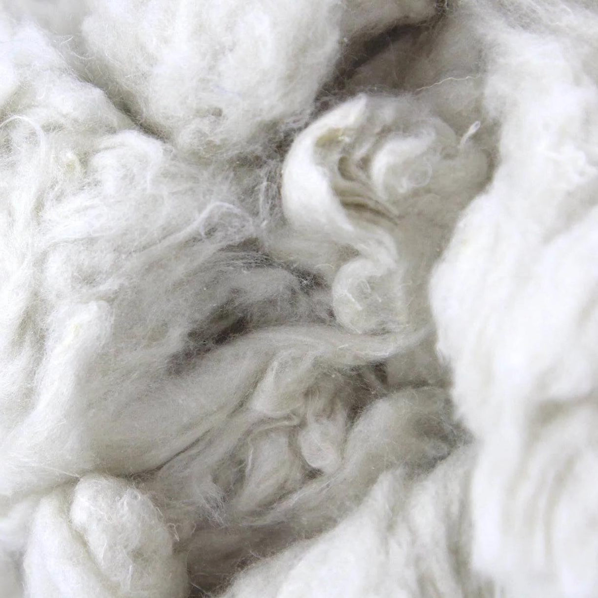 Recycled Mulberry Silk Fiber