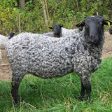 Gotland Top - Grey - Source