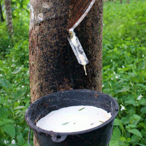 Saddle Seat Wooden Stool - a
